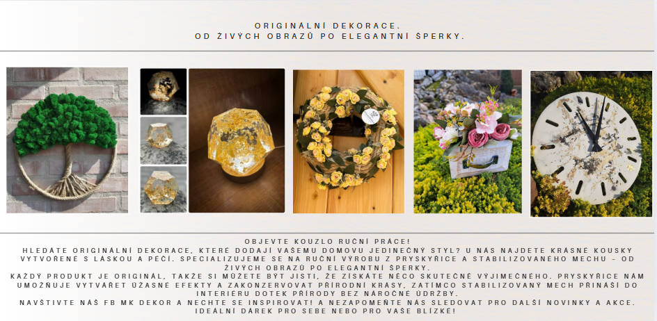 Snímek obrazovky 2025-07-15 115458